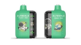 Elfworld Plus 20000: The Future of Long-Lasting, Healthy Vaping